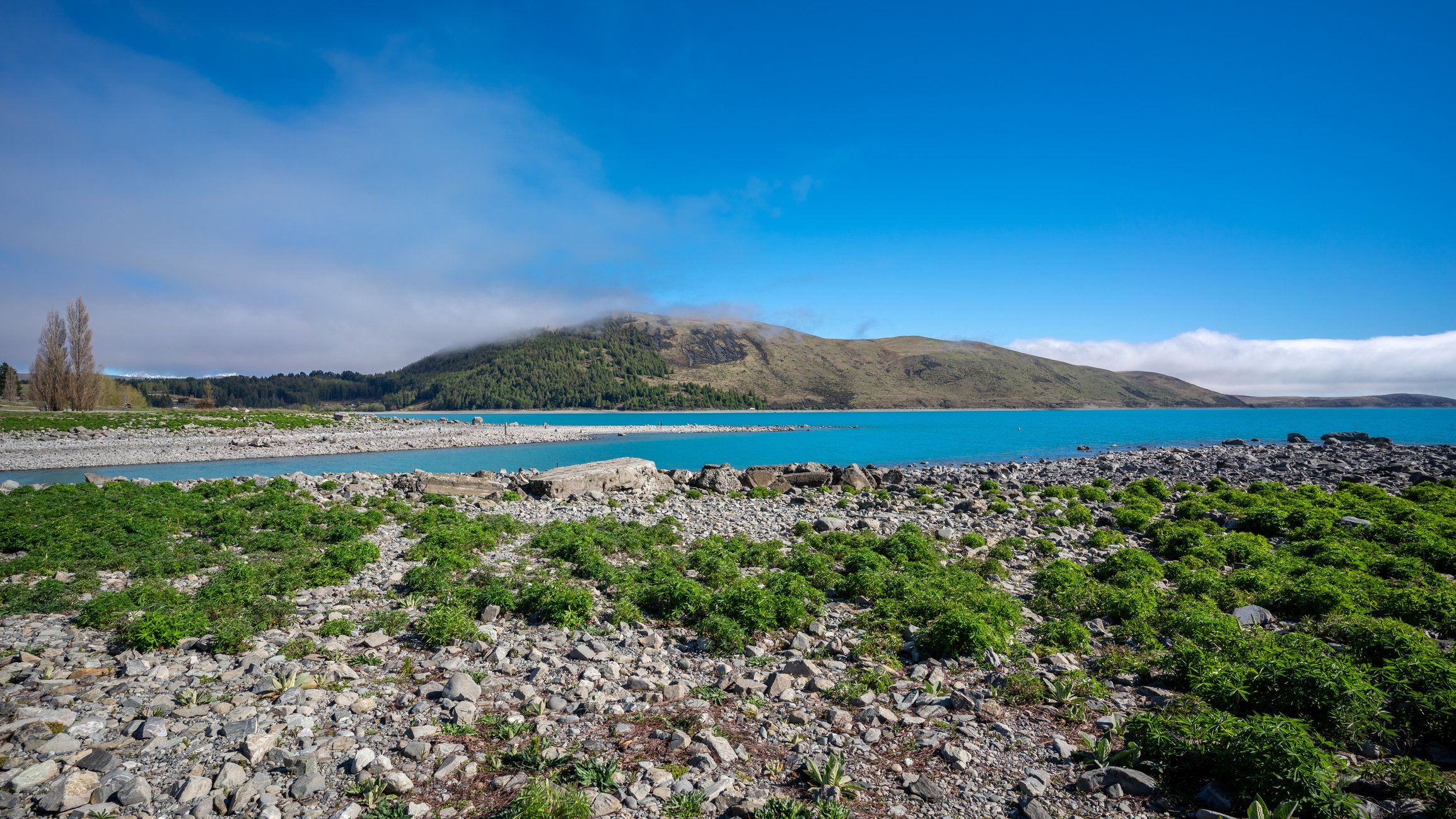 Navigating the NZ Minimum Wage Increase The Full Guide